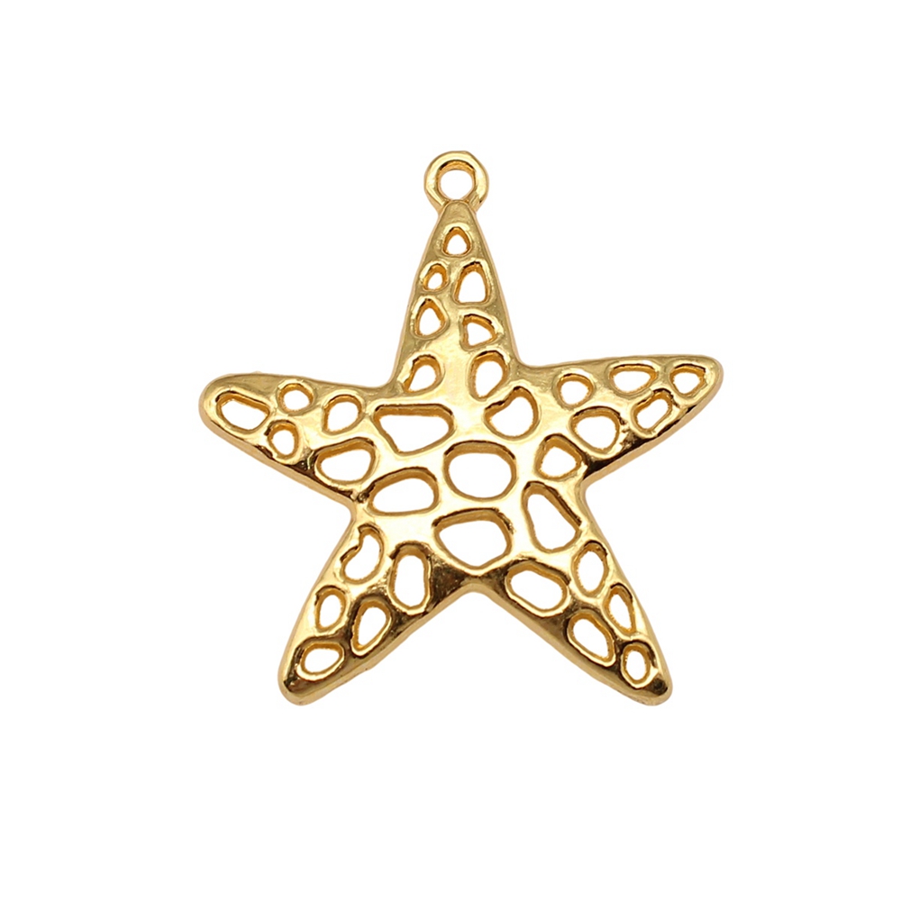 Dijes de estrella de mar para  - Jewelry Making For Couples reseña y precio